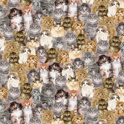 Timeless Treasures - CD2060 - Cat - All over cats