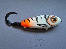 Jerktail tigerghost orange tail