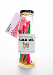 DIY Watermelon Martini cocktail