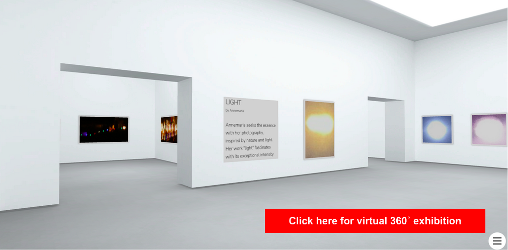 Virtuele Kunstgalerie voor particuliere verkopers en verkoop door kunstenaars