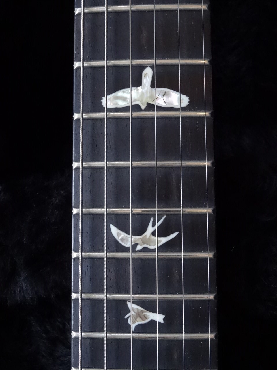 PRS Paul Reed Smith Custom 24 10 Top Rosewood Neck Grey Satin Finish Mint - Thumbnail 2