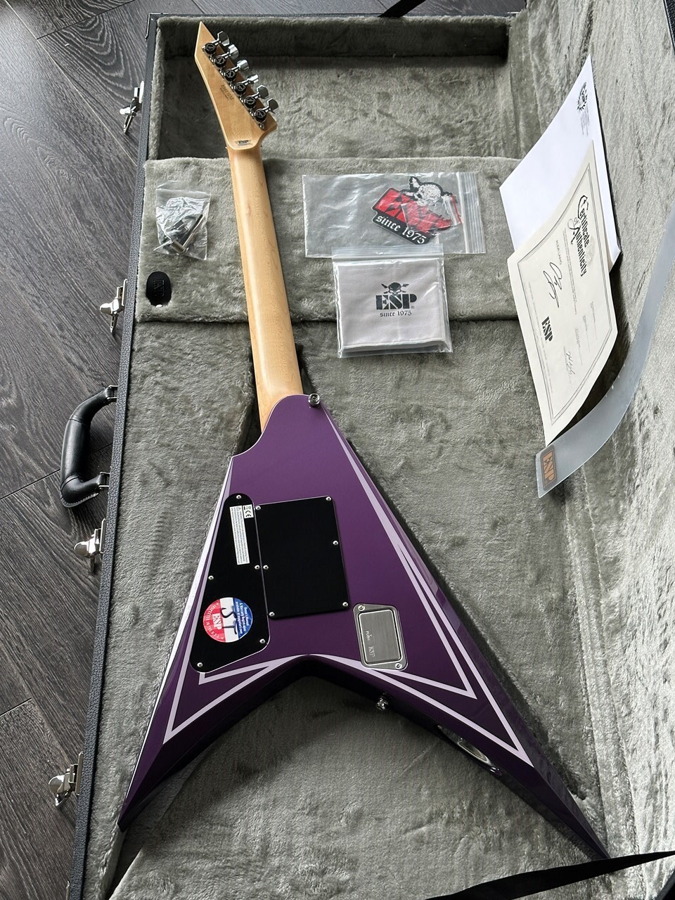 ESP Custom Alexi Laiho HEXED Purple Fade with Pinstripes - Thumbnail 2