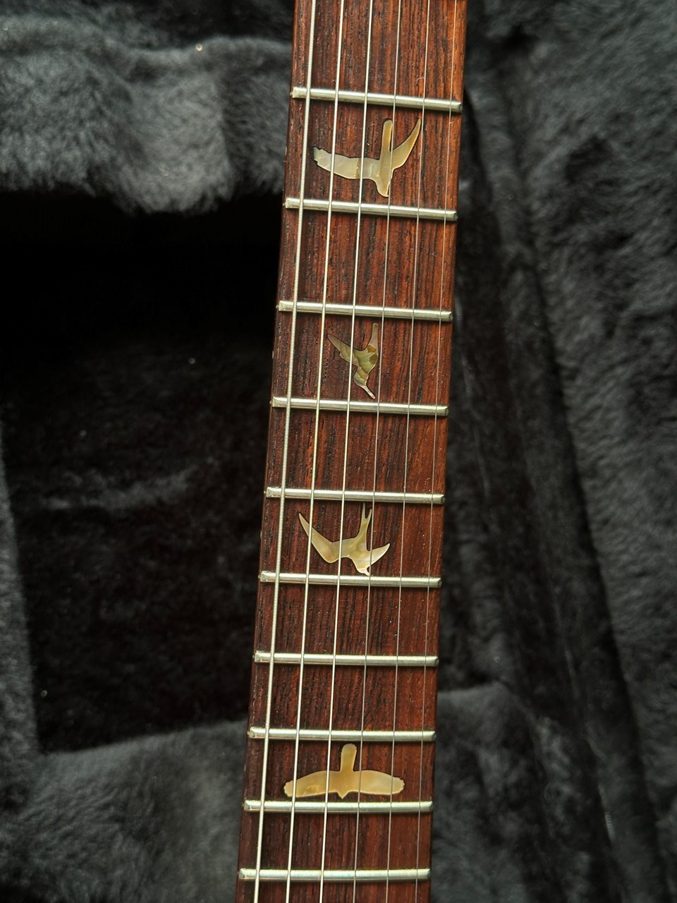 1987 PRS Custom 24 "Pre-Factory" Quilt Maple Brazilian Rosewood Board & CITES - Thumbnail 3