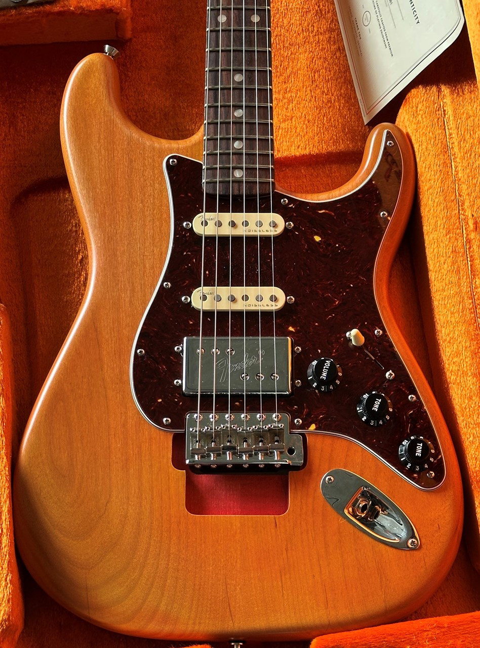 Fender Stories Collection Michael Landau "Coma" Stratocaster USA - Thumbnail 4