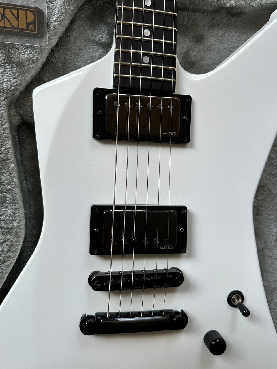 ESP Custom Shop Snakebyte James Hetfield Mint & Complete - Thumbnail 5