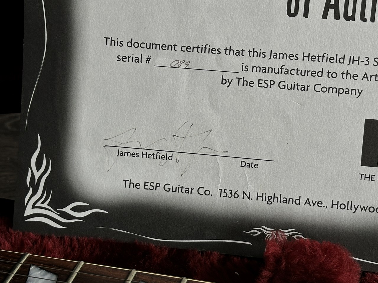 1999 ESP Custom Shop James Hetfield Signature JH-3 Black with Hot Rod Pinstriping - Thumbnail 5