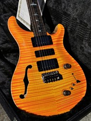 PRS Paul Reed Smith Private Stock 1 of 85 Special Semi-Hollow Limited Edition 
