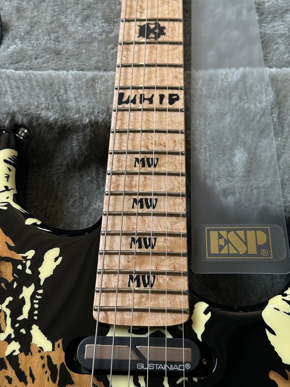 ESP Custom One Off Michael Wilton Skull Distressed Queenryche Masterpiece - Thumbnail 6