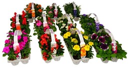 2X PERKGOED 6-PACK