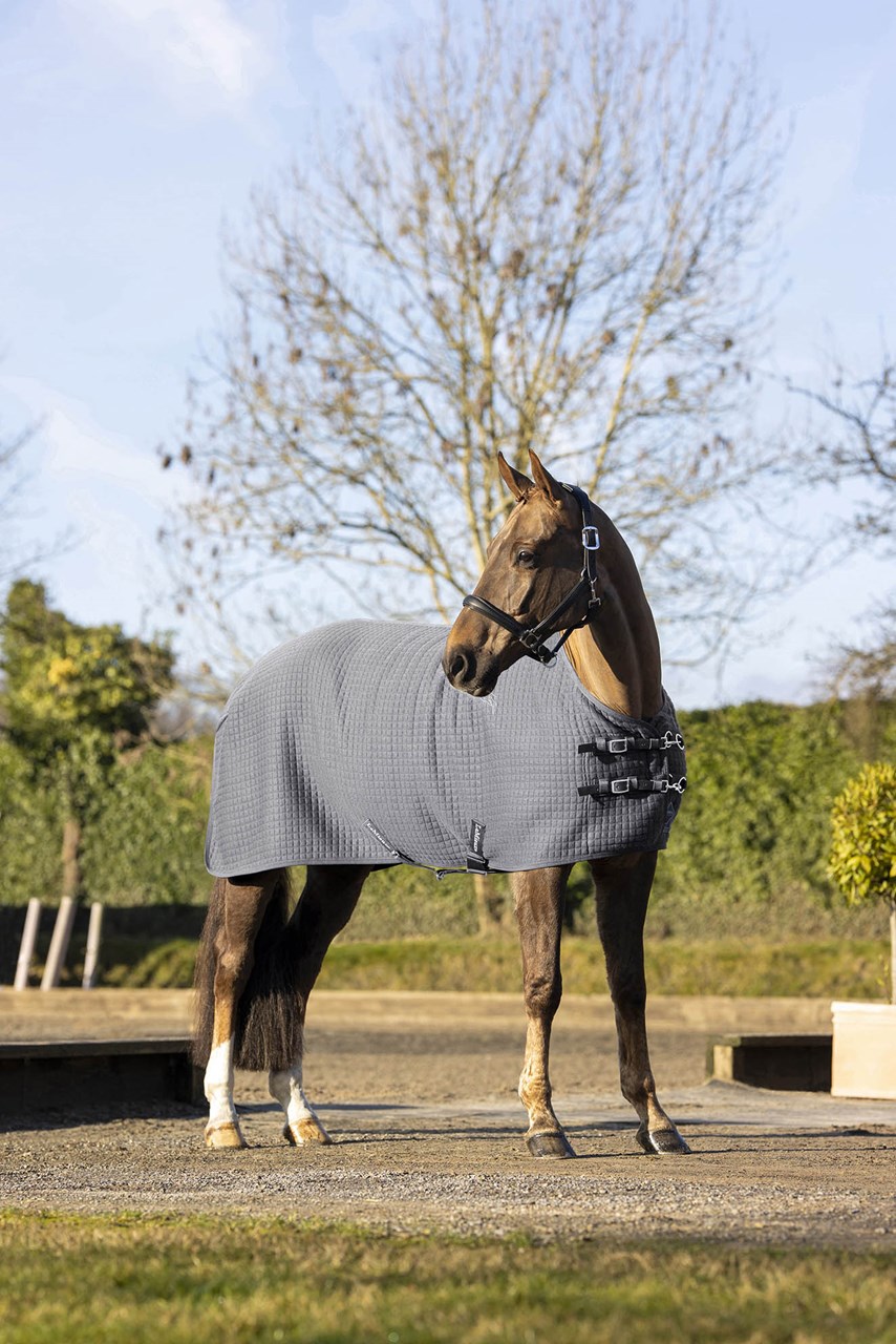 Couverture Cheval LeMieux Arika Jersey Tek - Taille 6'3 - Bleu Marine - Neuve